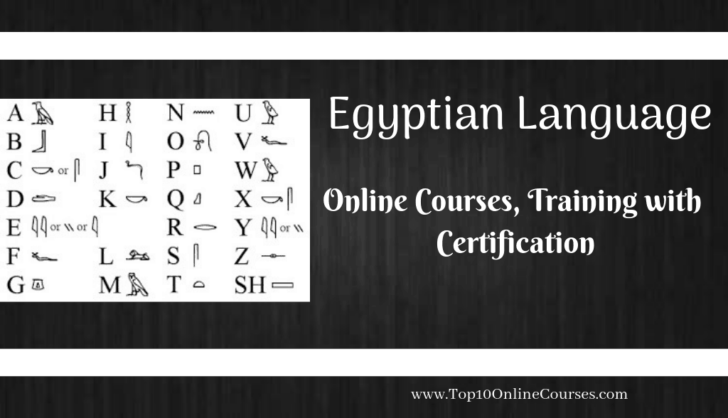 Egyptian Language Online Courses, Training with Certification